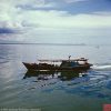 ABa070_MSC20050.jpg