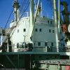 Klick mich! ABa096_MSC20076.jpg